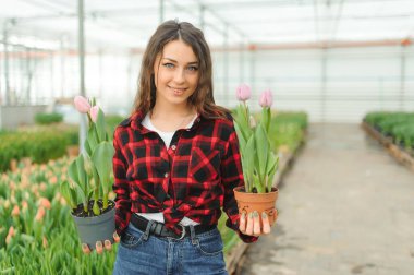Güzel, genç, gülümseyen bir kız, serada çiçekli bir işçi. Serada konsept işi, çiçekler, laleler, çiçekli kutular. Boşluğu kopyala.