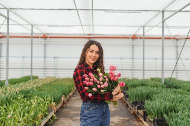 Güzel, genç, gülümseyen bir kız, serada çiçekli bir işçi. Serada çalışmak, çiçekler....