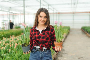 Güzel, genç, gülümseyen bir kız, serada çiçekli bir işçi. Serada çalışmak, çiçekler....