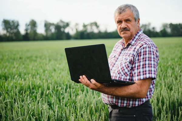 modern farmer checking his wheat field and working on laptop computer