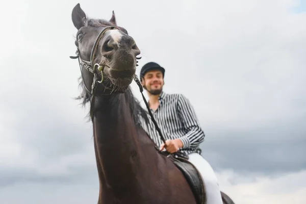 Belo Homem Montando Cavalo Campo Verão — Fotografia de Stock