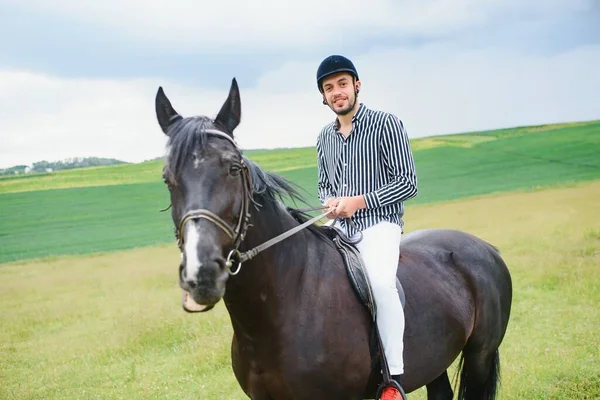 Beautiful Man Riding Horse Field Summer — Stock Photo, Image