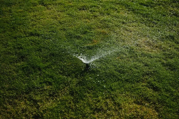 Modern Apparaat Van Irrigatie Tuin Irrigatiesysteem Techniek Van Het Besproeien — Stockfoto