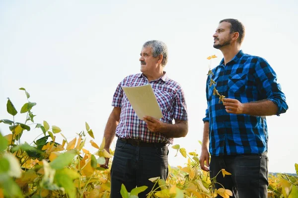 Çiftçiler çiftlikte çalışıyor, ellerinde küçük bir soya tohumu tutuyorlar..