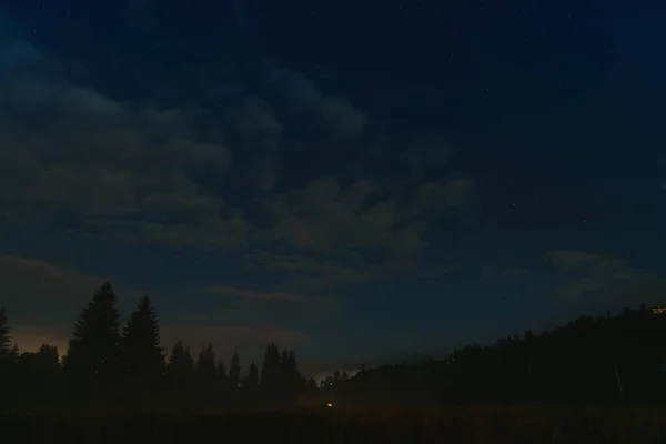カルパチア山脈の星空を背景にした森 — ストック写真