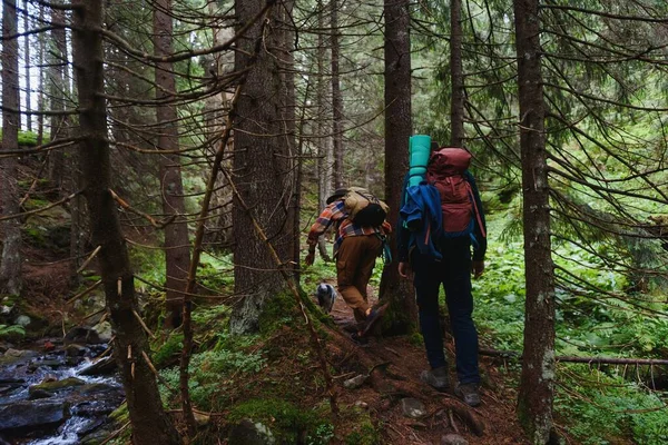 Wanderer Auf Waldwegen Mit Campingrucksäcken Trekking Freien Berg — Stockfoto