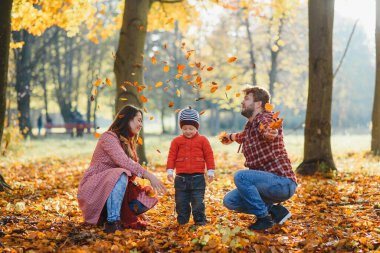 Genç aile Park'ta yürüyordunuz. Sonbahar.
