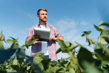 Soya tarlasında genç bir çiftçi