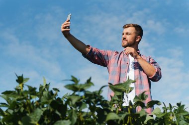 Soya fasulyesi çiftliğinin fotoğraflarını çeken çiftçi. Kalite kontrolü. Agronomistin işi. Brezilya Çiftliği.