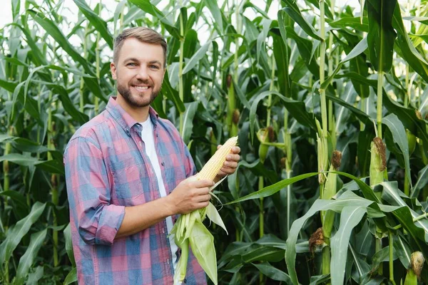 Agronomista Který Kontroluje Pěstování Sójových Bobů Poli Koncept Zemědělské Produkce — Stock fotografie