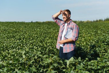 Soya tarlasında genç bir çiftçi