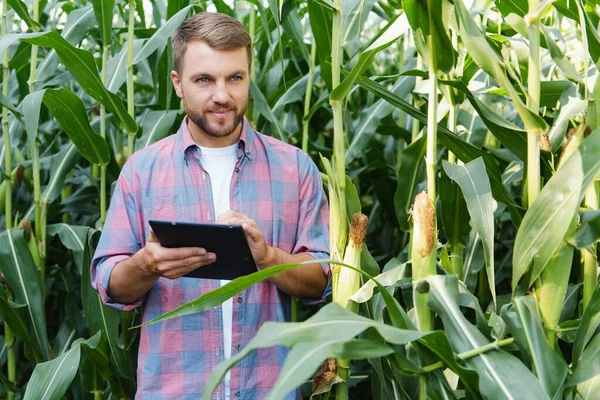 Férfi Farmer Ellenőrzi Farmján Lévő Üzemeket Agribusiness Koncepció Mezőgazdasági Mérnök — Stock Fotó