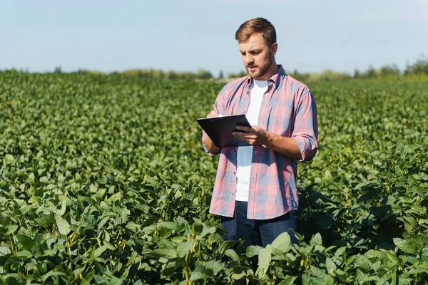 Giovane Affascinante Ingegnere Agricolo Sul Campo Soia Con Tablet Mano — Foto Stock