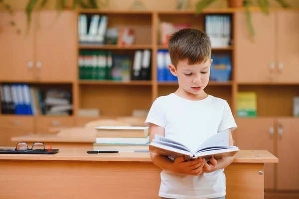 Garçon Dans Classe École Retour École — Photo