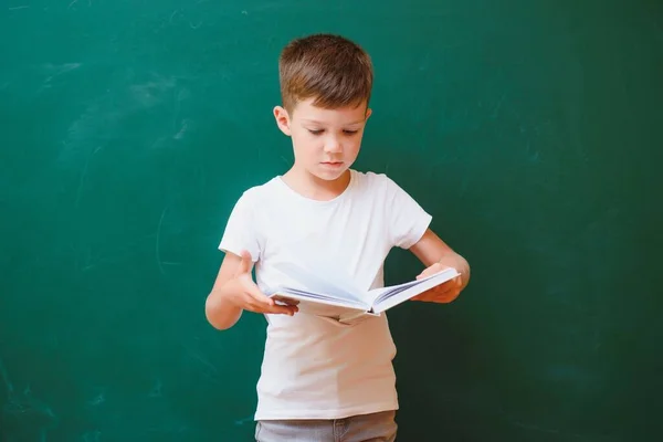 Funny schoolboy near the green school board in the classroom. Elementary school. Back to school.