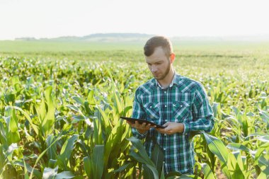 Mısır tarlasında tablet kullanan mutlu çiftçi ya da tarımcı. Arka planda sulama sistemi. Organik tarım ve gıda üretimi