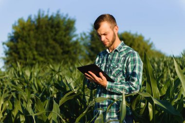Çiftçi teftiş yapan Mısır alan yaz güneşli gün