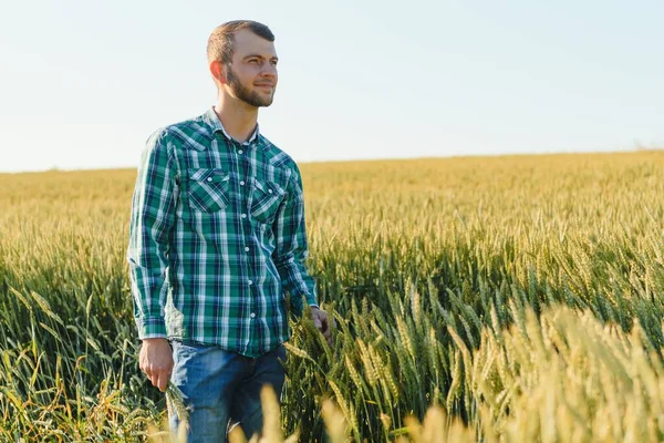 Jungbauer Auf Einem Weizenfeld Vor Der Ernte — Stockfoto