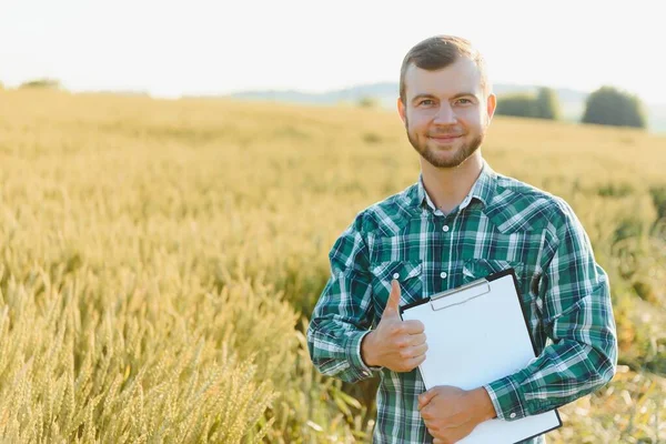 Feliz Joven Agricultor Agrónomo Inspeccionando Las Plantas Trigo Campo Antes — Foto de Stock