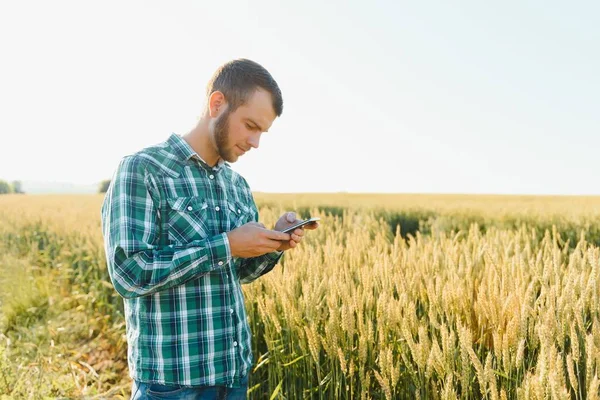 Agricoltore Parlando Sul Cellulare Nel Campo Una Giornata Sole — Foto Stock