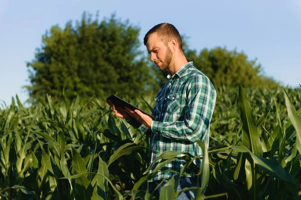 Šťastný Mladý Farmář Nebo Agronomista Používající Tablet Kukuřičném Poli Zavlažovací — Stock fotografie