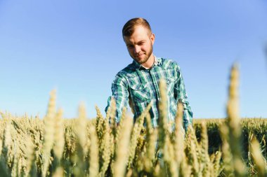 Hasattan önce bir buğday tarlasında genç bir çiftçi.