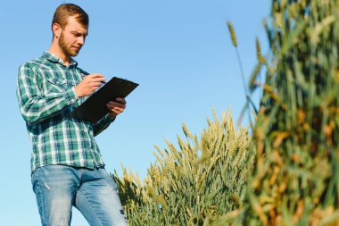 Hasattan önce bir buğday tarlasında genç bir çiftçi.