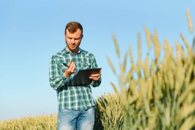 Hasattan önce bir buğday tarlasında genç bir çiftçi.