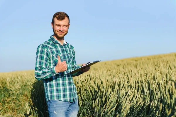 Agricultor Campo Trigo Verde Com Tablet Suas Mãos Fazenda Inteligente — Fotografia de Stock
