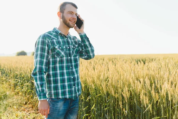 Farmer talking on mobile phone in the field on a sunny day