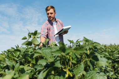 Soya tarlasında genç bir çiftçi