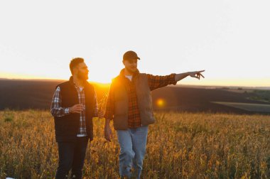 Gün batımında soya fasulyesi tarlasında dikilen iki çiftçi hasat büyümesini tartışıyor ve yaklaşan hasat alanlarına işaret ediyor.