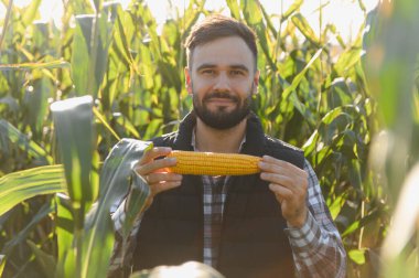 Çiftçi elinde taze mısır koçanı tutarak gururla güneşli bir mısır tarlasında duruyor. Tarım, hasat ve ekin temsilcileri