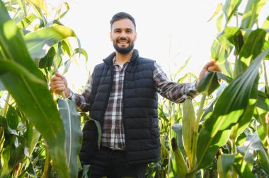 Genç bir çiftçi mısır tarlasında gülümsüyor. Tarım, hasat ve sürdürülebilirliği temsil etmek