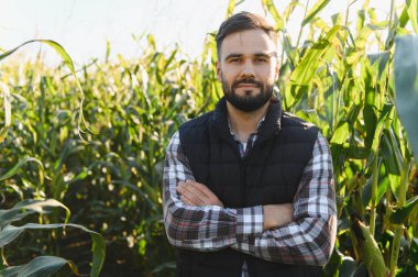 Sakallı, ekose gömlekli ve yelekli genç bir çiftçi yeşil bir mısır tarlasında çapraz kollarıyla duruyor.