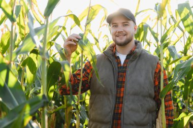 Genç çiftçi bir mısır tarlasında duruyor, elleri yeşil bir yaprağın üzerinde, kameraya gülümsüyor, arkasında parlak bir güneş var.