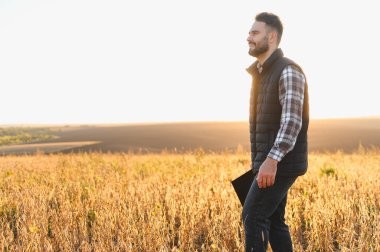 Genç bir tarım uzmanı olgunlaşmış bir soya tarlasında yürüyor, elinde bir tablet tutuyor ve gün batımında mahsulün verimini değerlendiriyor.