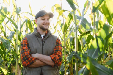 Bir mısır tarlasında kolları çapraz duran genç çiftçi, güneşli bir günde, gülümsüyor ve uzaklara bakıyor.