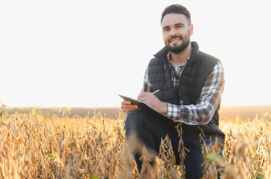 Agronomist soya fasulyesi hasadının kalitesini analiz ediyor güneşli bir tarımsal alanda bir panoya veri yazıyor.