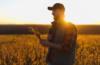 Bir tarlada dikilen mutlu çiftçi, güneş batarken hasat edilen mahsullerle dolu, başarılı tarımı sembolize ediyor.