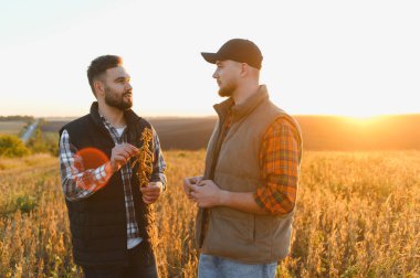 Soya tohumu mahsulünü denetleyen çiftçiler, kırsal bir alanda tarımı tartışıyor, hasadı planlıyorlar.