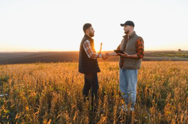 İki tarım ortağı gün batımında altın soya tarlasında el sıkışıyor, bir hasat anlaşması imzalıyor ve sürdürülebilir büyüme planlıyorlar.