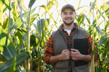 Genç çiftçi gülümsüyor, mısır tarlasında pano ile duruyor, bitkilerin büyümesini ve hasadı değerlendiriyor.