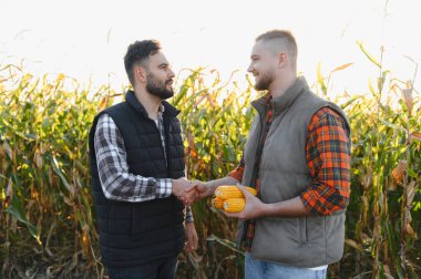 İki çiftçi mısır tarlasında el sıkışıyor, biri mısır koçanı tutuyor, tarımda başarılı bir ortaklığı simgeliyor.