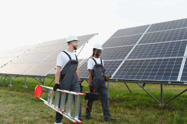 İki farklı mühendis, yenilenebilir enerji parkında bakım çalışmaları için aletler ve merdiven taşıyorlar.