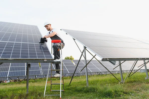 Güvenlik donanımlı erkek teknisyen merdivenin üzerinde duruyor, yeşil enerji için güneş panelleri üzerinde çalışıyor.