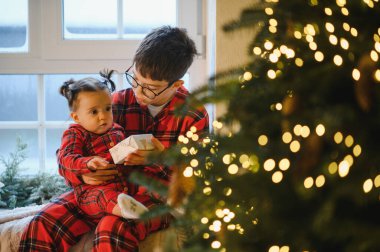Oğlan, ışıldayan ışıklarla dolu bir noel ağacının yanında pencerenin yanında otururken küçük kız kardeşine neşeli bir hediye veriyor.