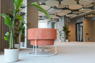 Modern ofis lobisinde rahat pembe yumuşak koltuklar, saksıda yeşil bitkiler ve minimalist akustik tavan panelleri yer alıyor.
