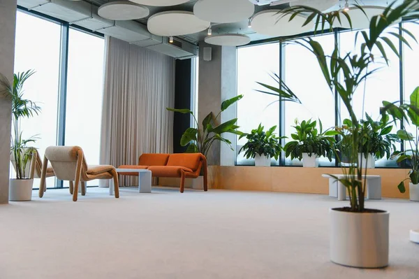 Rahat koltuklar, geniş pencereler ve rahatlatıcı biyofilik atmosfer yaratan sayısız yeşil bitkilerle dolu geniş modern ofis salonu.