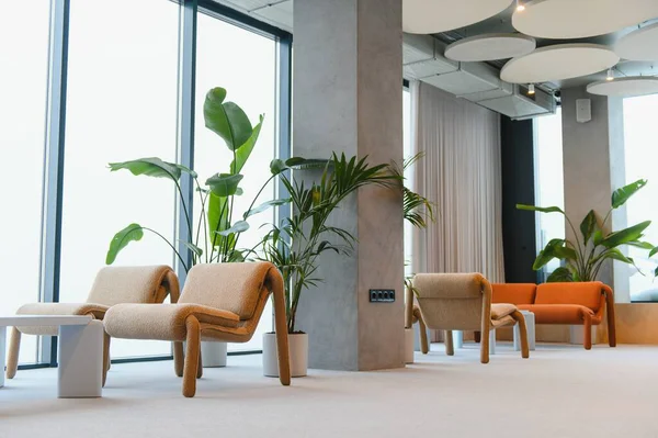 Minimalist koltuklar, kanepe, büyük pencereler ve yeşil saksı bitkileriyle modern tasarımın yer aldığı parlak ofis salonu.